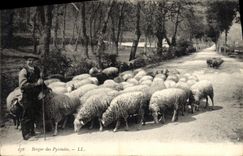 CPA Folklore Berger des Pyrenees Moutons