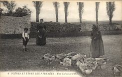 CPA Folklore Pyrenees Une gardeuse d'oies 