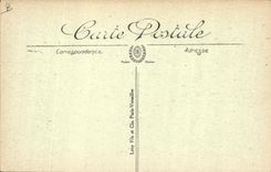 CPA Folklore Pyrenees Une gardeuse d'oies 