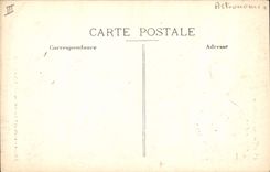 VINTAGE POSTCARD Astronomy the arrival with the tower of the Observatory Woman Dog