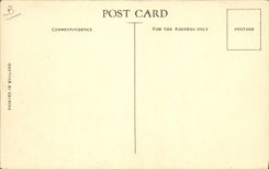 CPA Bateau Cunard RMS Carinthia Garden lounge