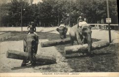 CPA Elephant Grande exposition India