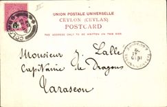 CPA Elephant Ceylon Elephants 