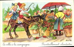 VINTAGE POSTCARD Fantasy Illustrator Ass Mule Rob Nel