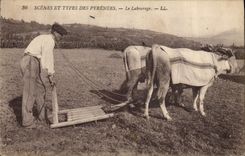 CPA Attelage Le labourage Boeufs