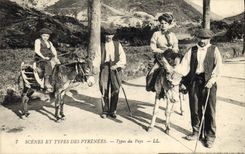VINTAGE POSTCARD the Standard Pyrenees of the country Folklore Ass Mule