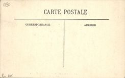 VINTAGE POSTCARD Coach Inhabitant of Béarn the Pyrenees Oxen