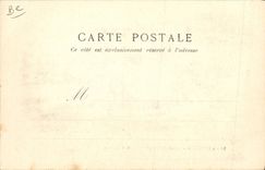 VINTAGE POSTCARD Coach of the country the Pyrenees Oxen