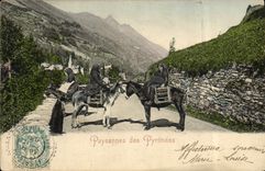 CPA Paysannes des Pyrenees Ane Mule 