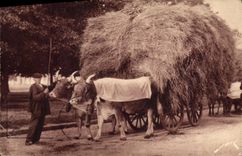 Coche campesino de la POSTAL de la VENDIMIA los Pyrenees