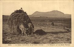 Coche de la POSTAL de la VENDIMIA el haymaking en las altas mesetas