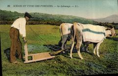 CPA Attelage Le labourage 