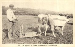 CPA Attelage Pyrenees Le labourage