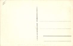 VINTAGE POSTCARD Pyrenees Coach tilling