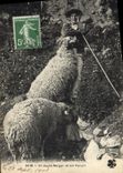 CPA Pyrenees Un jeune berger et son favori Moutons