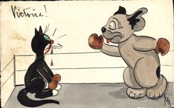 CPA Boxe Chat Chien 