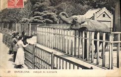 CPA Elephant Barcelona Parque El Elefante 