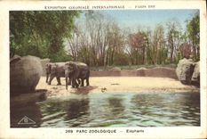 CPA Elephant Paris Exposition coloniale internationale Paris 1931 Parc zoologique Elephants 