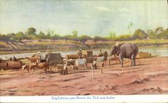 CPA Elephant Expedition par fleuve du the aux Indes