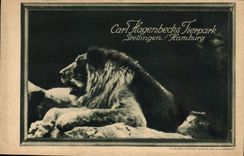 CPA Carl Hangenbecks Tierpark Stellingen Hamburg
