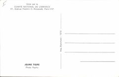 VINTAGE POSTCARD Young Tiger