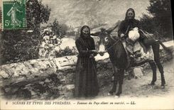 CPA Folklore Pyrenees Femmes du pays allant au marche Ane mule 