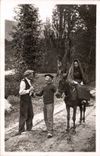 CPA Folklore Paysans des Pyrenees Mule 