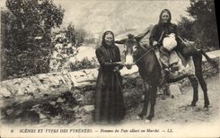 CPA Folklore Pyrenees Femmes allant au marche Ane Mule 