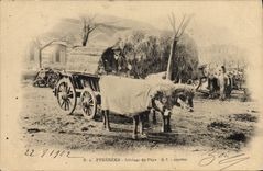 VINTAGE POSTCARD Folklore the Pyrenees Coach of the country Oxen