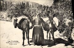CPA Folklore Sur la route Trois amis Ane mule 