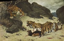 VINTAGE POSTCARD Tigers Tiger G Rotig Living room of Paris