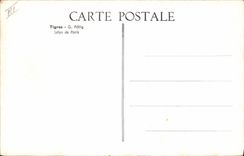 VINTAGE POSTCARD Tigers Tiger G Rotig Living room of Paris