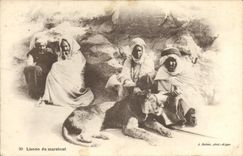 CPA Lionne du marabout lion 