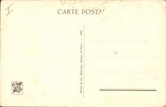 VINTAGE POSTCARD Tiger Tigers