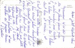 MODERN CARD the panther