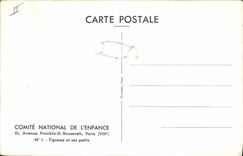 VINTAGE POSTCARD Tiger-cat and its small