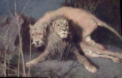 CPA Lion Tade Styka Les lions effet de nuit 