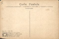 Mujer Lovesong del ilustrador de la fantasía de la POSTAL de la VENDIMIA sin palabras