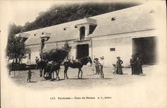 CPA Pyrenees Cour de ferme Cheval