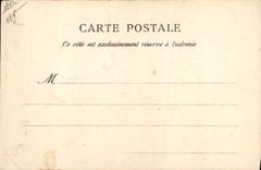 VINTAGE POSTCARD the Pyrenees Farmyard Horse