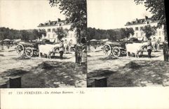 CPA Pyrenees Un attelage bearnais Boeufs 