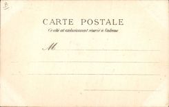 POSTAL de la VENDIMIA los trajes de Pyrenees de la mula del asno del payx