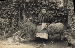 CPA Pyrenees une jeune bergere Agneau Mouton Folklore