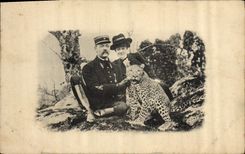 VINTAGE POSTCARD Cat-like Cheetah