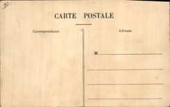 VINTAGE POSTCARD Cat-like Cheetah