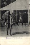 CPA Felin Lion Dompteur Fritz Schilling 