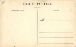 CPA Felin Lion et sa lionne 
