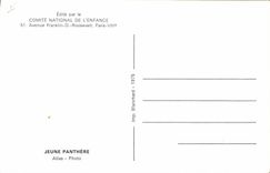 VINTAGE POSTCARD Cat-like Young person panther