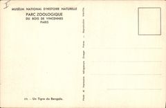 VINTAGE POSTCARD Cat-like a Bengal tiger Zoo Zoological gardens of the Wood of Vincennes Zoo