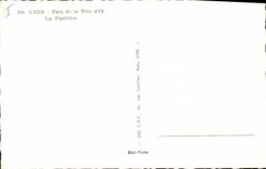 VINTAGE POSTCARD Cat-like Lyon Park of the Gold Head the panther